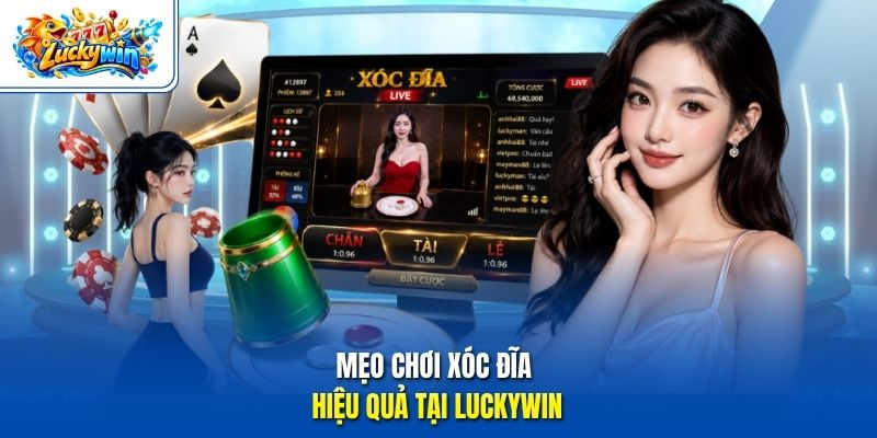 Mẹo chơi xóc đĩa hiệu quả tại Luckywin 